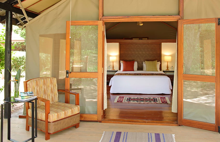 Luxury vs Budget Safaris