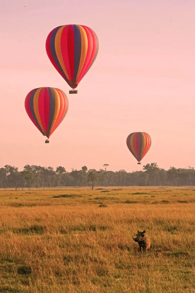 Balloon Safaris